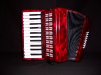 25 Note Accordion